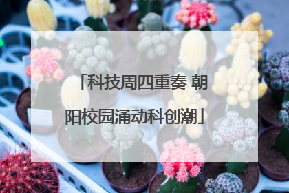 科技周四重奏 朝阳校园涌动科创潮