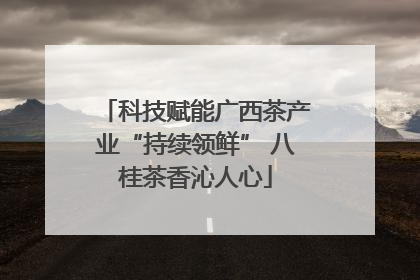 科技赋能广西茶产业“持续领鲜” 八桂茶香沁人心