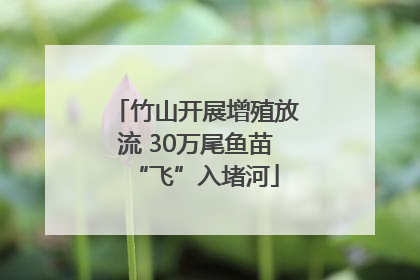 竹山开展增殖放流 30万尾鱼苗“飞”入堵河