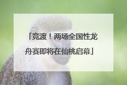 竞渡！两场全国性龙舟赛即将在仙桃启幕