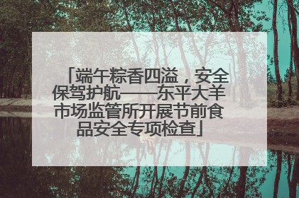 端午粽香四溢,安全保驾护航——东平大羊市场监管所开展节前食品安全专项检查