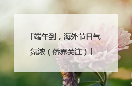 端午到，海外节日气氛浓（侨界关注）