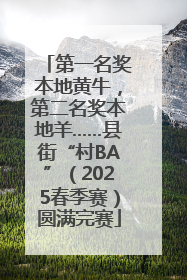 第一名奖本地黄牛，第二名奖本地羊……县街“村BA”（2025春季赛）圆满完赛