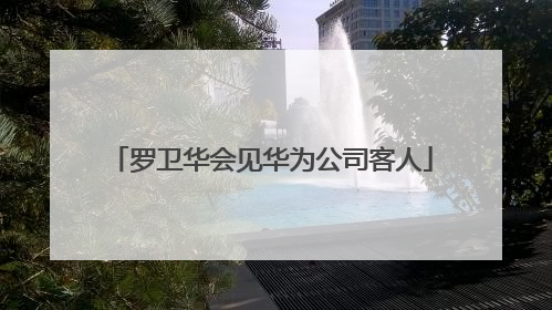罗卫华会见华为公司客人