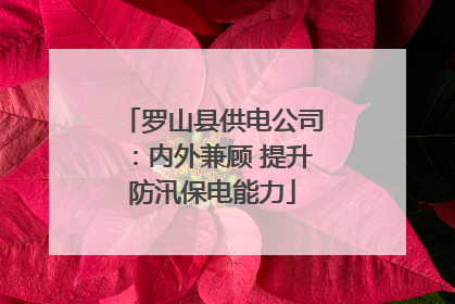 罗山县供电公司：内外兼顾 提升防汛保电能力