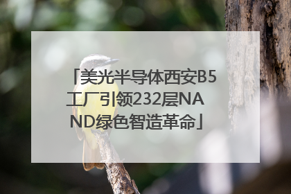 美光半导体西安B5工厂引领232层NAND绿色智造革命