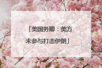 美国务卿：美方未参与打击伊朗