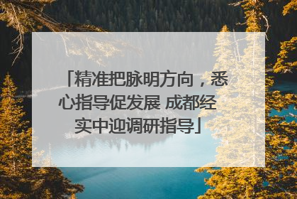 精准把脉明方向，悉心指导促发展 成都经实中迎调研指导