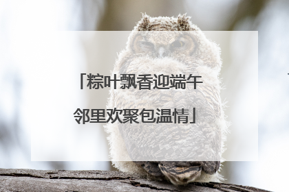 粽叶飘香迎端午 邻里欢聚包温情