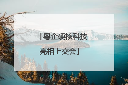 粤企硬核科技亮相上交会