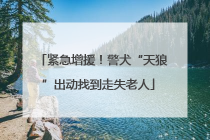 紧急增援！警犬“天狼”出动找到走失老人