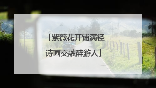紫薇花开铺满径 诗画交融醉游人