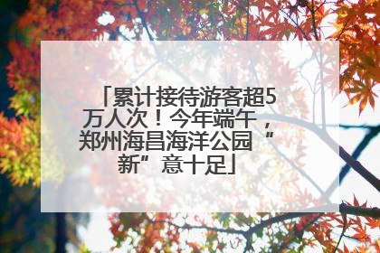 累计接待游客超5万人次！今年端午，郑州海昌海洋公园“新”意十足