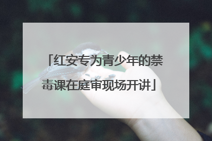 红安专为青少年的禁毒课在庭审现场开讲