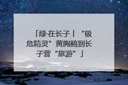 绿·在长子丨“极危精灵”黄胸鹀到长子营“旅游”