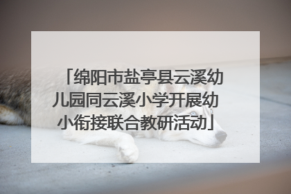 绵阳市盐亭县云溪幼儿园同云溪小学开展幼小衔接联合教研活动