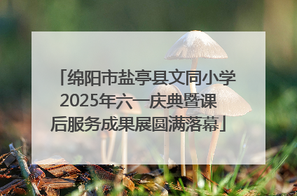 绵阳市盐亭县文同小学2025年六一庆典暨课后服务成果展圆满落幕