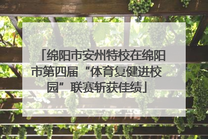 绵阳市安州特校在绵阳市第四届“体育复健进校园”联赛斩获佳绩