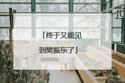 终于又能见到樊振东了