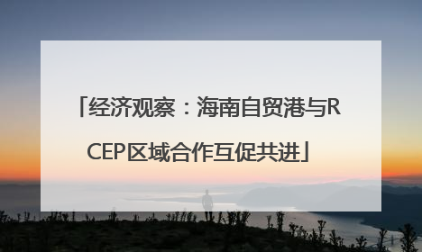 经济观察：海南自贸港与RCEP区域合作互促共进