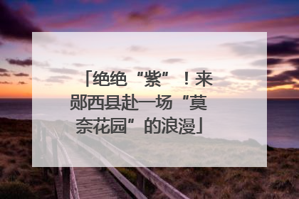 绝绝“紫”！来郧西县赴一场“莫奈花园”的浪漫