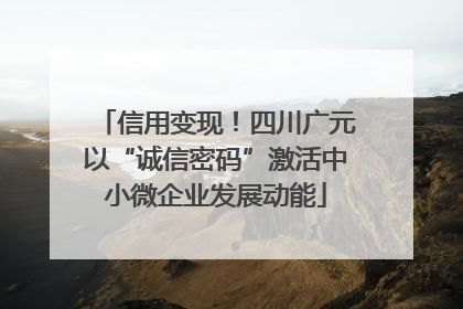 信用变现！四川广元以“诚信密码”激活中小微企业发展动能