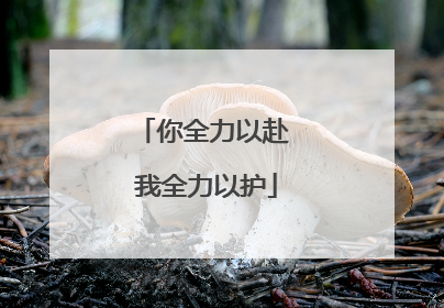 你全力以赴 我全力以护