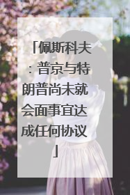 佩斯科夫：普京与特朗普尚未就会面事宜达成任何协议