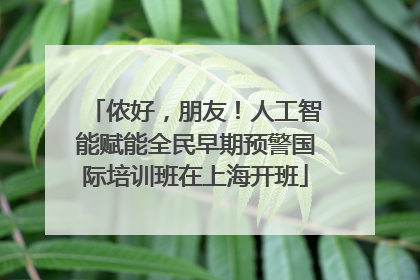 侬好，朋友！人工智能赋能全民早期预警国际培训班在上海开班