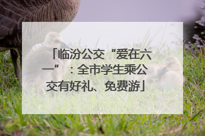 临汾公交“爱在六一”：全市学生乘公交有好礼、免费游