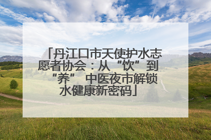 丹江口市天使护水志愿者协会：从“饮”到“养” 中医夜市解锁水健康新密码