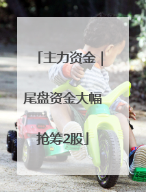 主力资金｜尾盘资金大幅抢筹2股