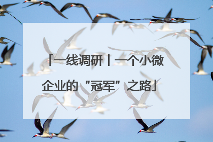 一线调研丨一个小微企业的“冠军”之路