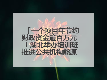 一个项目年节约财政资金逾百万元！湖北举办培训班推进公共机构能源费用托管工作