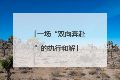 一场“双向奔赴”的执行和解