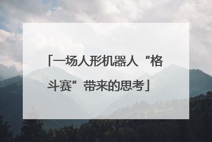 一场人形机器人“格斗赛”带来的思考