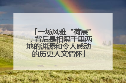 一场风雅“荷展”，背后是相隔千里两地的渊源和令人感动的历史人文情怀
