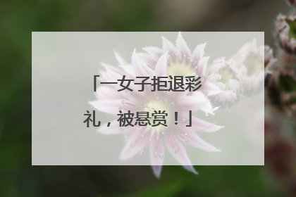 一女子拒退彩礼，被悬赏！