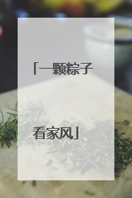 一颗粽子看家风