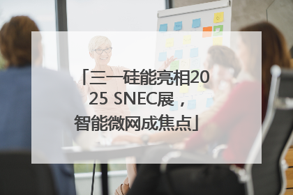 三一硅能亮相2025 SNEC展，智能微网成焦点