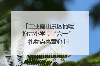 三亚南山景区情暖抱古小学，“六一”礼物点亮童心