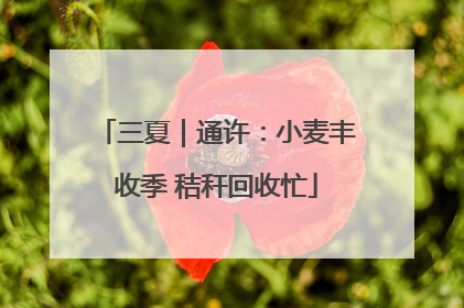 三夏｜通许：小麦丰收季 秸秆回收忙
