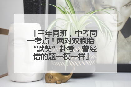 三年同班，中考同一考点！两对双胞胎“默契”赴考，曾经错的题一模一样
