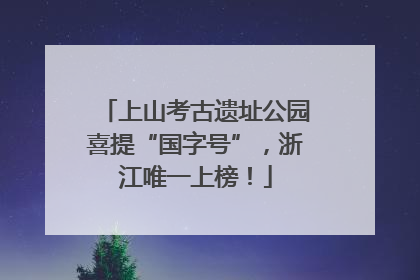 上山考古遗址公园喜提“国字号”，浙江唯一上榜！
