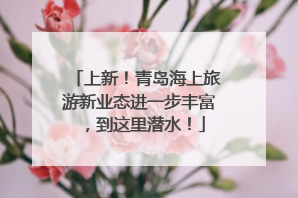 上新！青岛海上旅游新业态进一步丰富，到这里潜水！