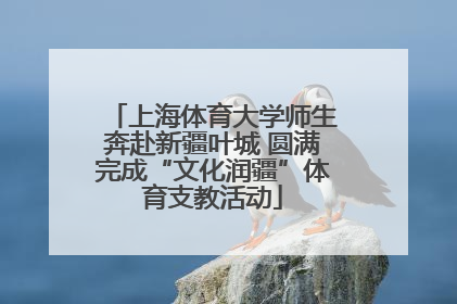 上海体育大学师生奔赴新疆叶城 圆满完成“文化润疆”体育支教活动
