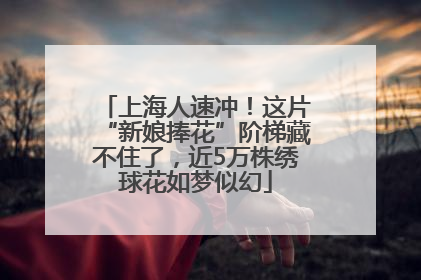 上海人速冲！这片“新娘捧花”阶梯藏不住了，近5万株绣球花如梦似幻
