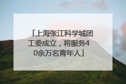 上海张江科学城团工委成立，将服务40余万名青年人