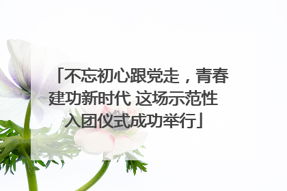 不忘初心跟党走，青春建功新时代 这场示范性入团仪式成功举行