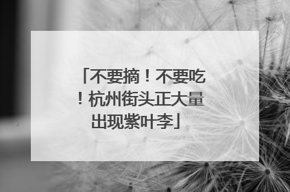 不要摘！不要吃！杭州街头正大量出现紫叶李